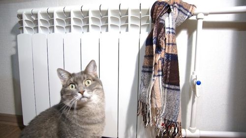 Фото пресс-службы Минстроя и ЖКХ Хакасии